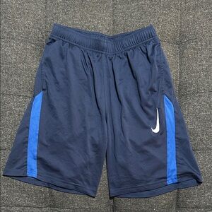 Nike Men's Navy and Royal Blue Athletic Shorts